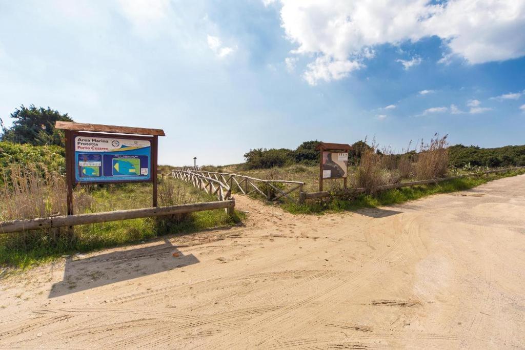 Villa Spiaggia Degli Angeli Порто-Чезарео Экстерьер фото